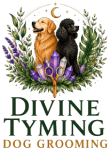 Divine Tyming Dog Grooming